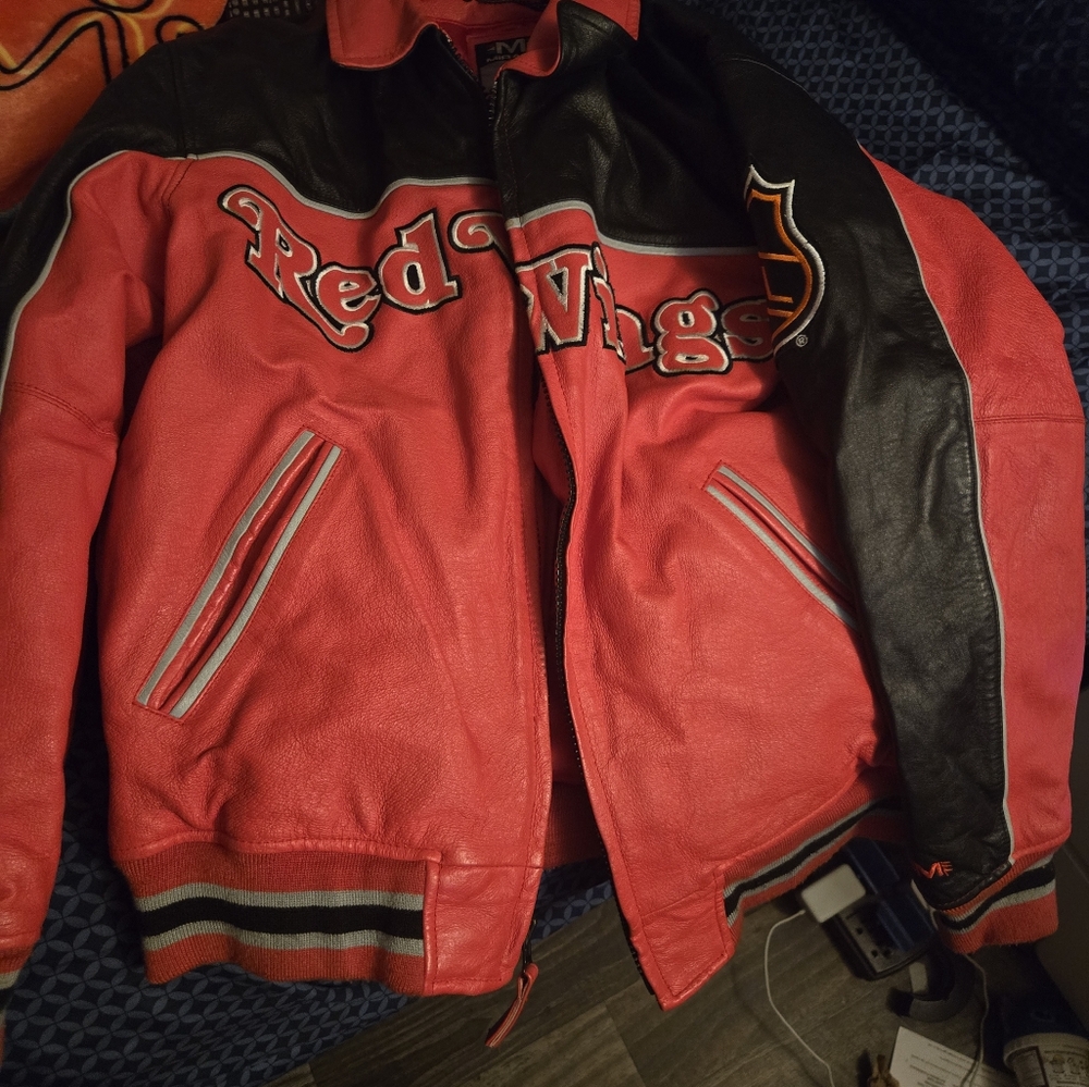 Motorcycle jacket - Picture 2 of 2